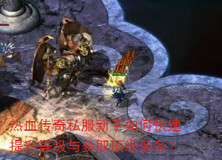 ��Ѫ����˽��������ο��������ȼ����ȡ����װ����