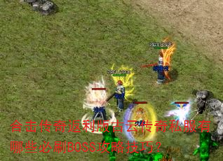 �ϻ����淵������ƴ���˽������Щ��ˢBOSS���Լ��ɣ�