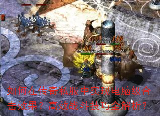 ����ڴ���˽����ʵ�ֵ��Լ��ϻ�Ч������Чս������ȫ������