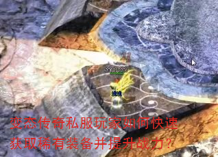 ��̬����˽�������ο��ٻ�ȡϡ��װ��������ս����