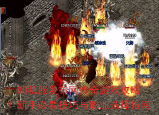 1.80˽��������������Ϸ���ԣ����ֱؿ�������ְҵѡ��ָ��