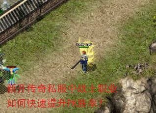 �¿�����˽����սʿְҵ��ο�������PKʤ�ʣ�