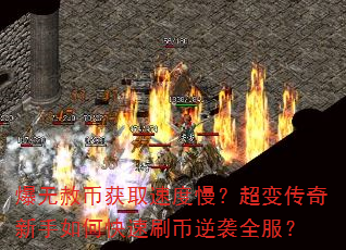 ������һ�ȡ�ٶ��������䴫��������ο���ˢ����Ϯȫ����