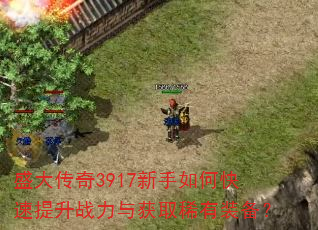 ʢ����3917������ο�������ս�����ȡϡ��װ����