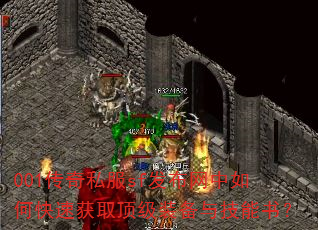 001����˽��sf����������ο��ٻ�ȡ����װ���뼼���飿