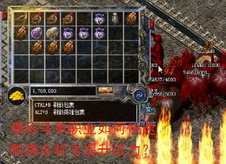 ���ƺŵ�ְҵ��ο���ˢ��ȫ�ƺ�����ս����