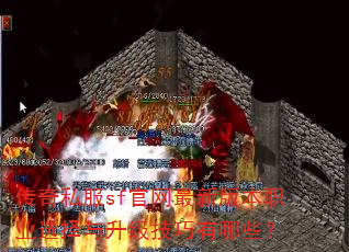 传奇私服sf官网最新版本职业选择与升级技巧有哪些? 传奇私服sf官网最新版本职业选择与升级技巧有哪些?