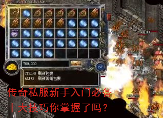 ����˽���������űر�ʮ��������������