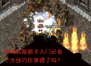 ����˽���������űر�ʮ��������������