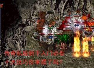 ����˽���������űر�ʮ��������������