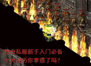 ����˽���������űر�ʮ��������������