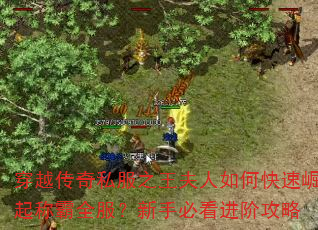 穿越传奇私服之王夫人如何快速崛起称霸全服?新手必看进阶攻略 穿越传奇私服之王夫人如何快速崛起称霸全服?新手必看进阶攻略