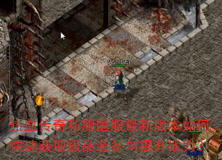 ��Ѫ����˽���������°汾��ο��ٻ�ȡ��Ʒװ��������ս����