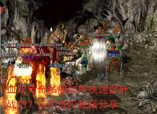 Ѫ������˽����ο�������ս�������ֽ����ؼ�����