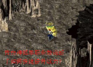 ���������ְҵ΢��������ο�������ս����