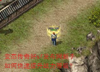 变态传奇好sf发布网新手如何快速提升战力等级? 变态传奇好sf发布网新手如何快速提升战力等级?