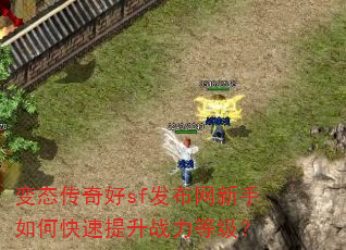 变态传奇好sf发布网新手如何快速提升战力等级? 变态传奇好sf发布网新手如何快速提升战力等级?