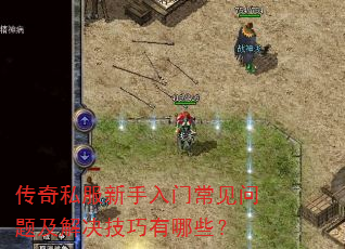 传奇私服新手入门常见问题及解决技巧有哪些? 传奇私服新手入门常见问题及解决技巧有哪些?