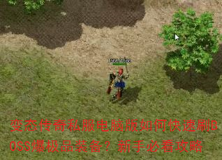 ��̬����˽�����԰���ο���ˢBOSS����Ʒװ�������ֱؿ�����