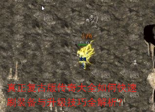 �������Ű洫���ȫ��ο���ˢװ������������ȫ������