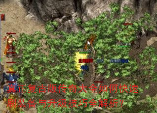 �������Ű洫���ȫ��ο���ˢװ������������ȫ������