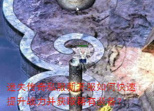 ��ʧ����˽���¿�����ο�������ս������ȡϡ��װ����