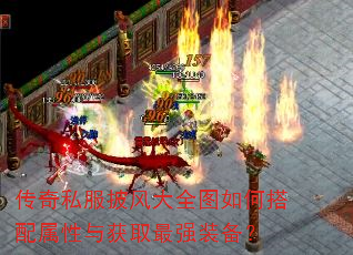 ����˽�������ȫͼ��δ����������ȡ��ǿװ����