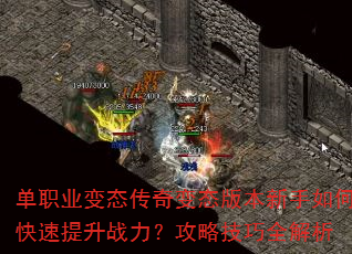 ��ְҵ��̬�����̬�汾������ο�������ս�������Լ���ȫ����