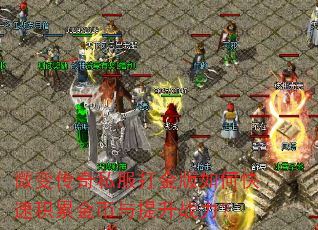 ΢�䴫��˽��������ο��ٻ��۽��������ս����