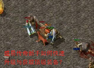 ʢ�״���������ο����������ȡ����װ����