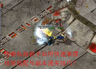 ����˽��������ο������ռ��ܴ����븱��ͨ�ؼ��ɣ�