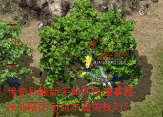 ����˽��������ο������ռ��ܴ����븱��ͨ�ؼ��ɣ�