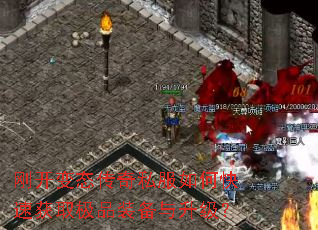 �տ���̬����˽����ο��ٻ�ȡ��Ʒװ����������