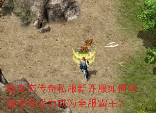 超变态传奇私服新开服如何快速提升战力成为全服霸主? 超变态传奇私服新开服如何快速提升战力成为全服霸主?
