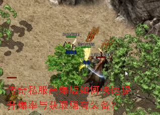 ����˽���߱�����ο��������������ȡϡ��װ����