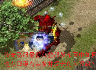 传奇私服最新公益服发布网中如何快速获取稀有装备并提升角色等级? 传奇私服最新公益服发布网中如何快速获取稀有装备并提升角色等级?