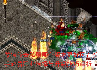 ΢�Ŵ���˽���ĸ��汾�����棿���ֱؿ�ְҵѡ�����������ɽ���