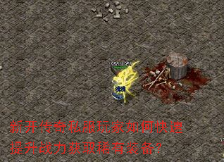 �¿�����˽�������ο�������ս����ȡϡ��װ����