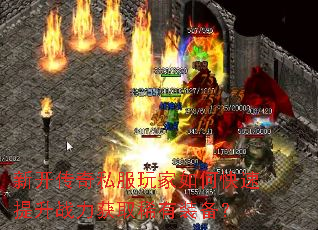 �¿�����˽�������ο�������ս����ȡϡ��װ����