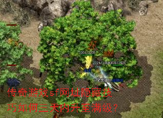 ������Ϸsf��ַ���ؼ����������������������