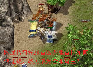 ��ͨ����˽����������������ο�������ս����Ϊȫ��������