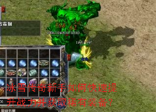 ��ѩ����������ο�������ս������ȡϡ��װ����