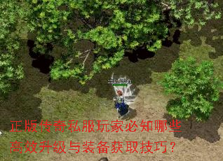 ���洫��˽����ұ�֪��Щ��Ч������װ����ȡ���ɣ�