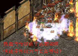 ��Ѫ����SF���ֳ�����ο�������ս����װ���ȼ���