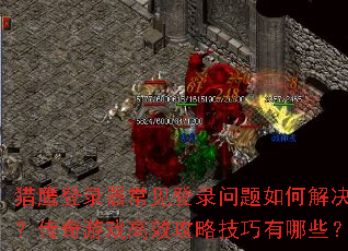 ��ӥ��¼��������¼������ν����������Ϸ��Ч���Լ�������Щ��