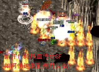 �¿�1.85��Ѫ����SF��ο���ˢ������װ����