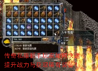 ����˽�����������ο�������ս�����ȡϡ��װ����