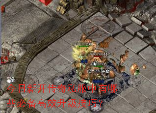 �����¿�����˽��������Щ�ر���Ч�������ɣ�