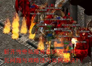 �¿�����˽���ϻ�SF���������������빥�Լ�����ν����