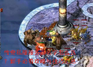 ����˽��������������ôѡ�����ֱؿ������뼼�ɻ���